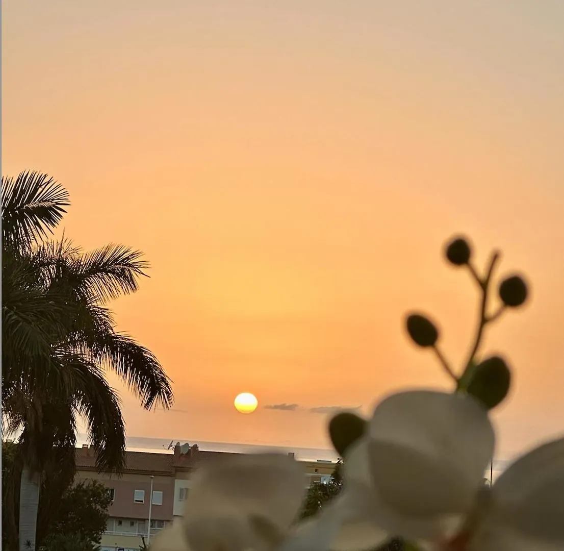 Apartment Tenerife Holidays Costa Adeje