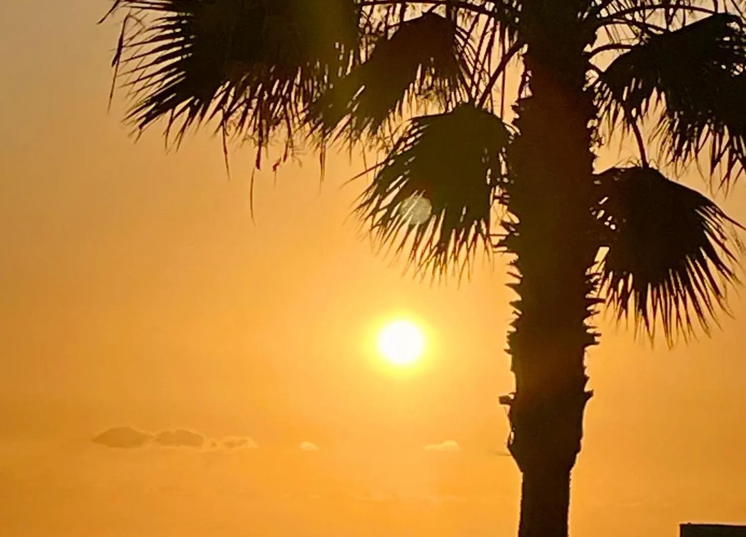 Apartment Tenerife Holidays Costa Adeje